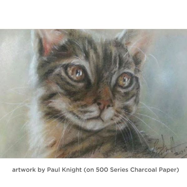 Art By Paul Knight on Strathmore Series 500 Charcoal Paper