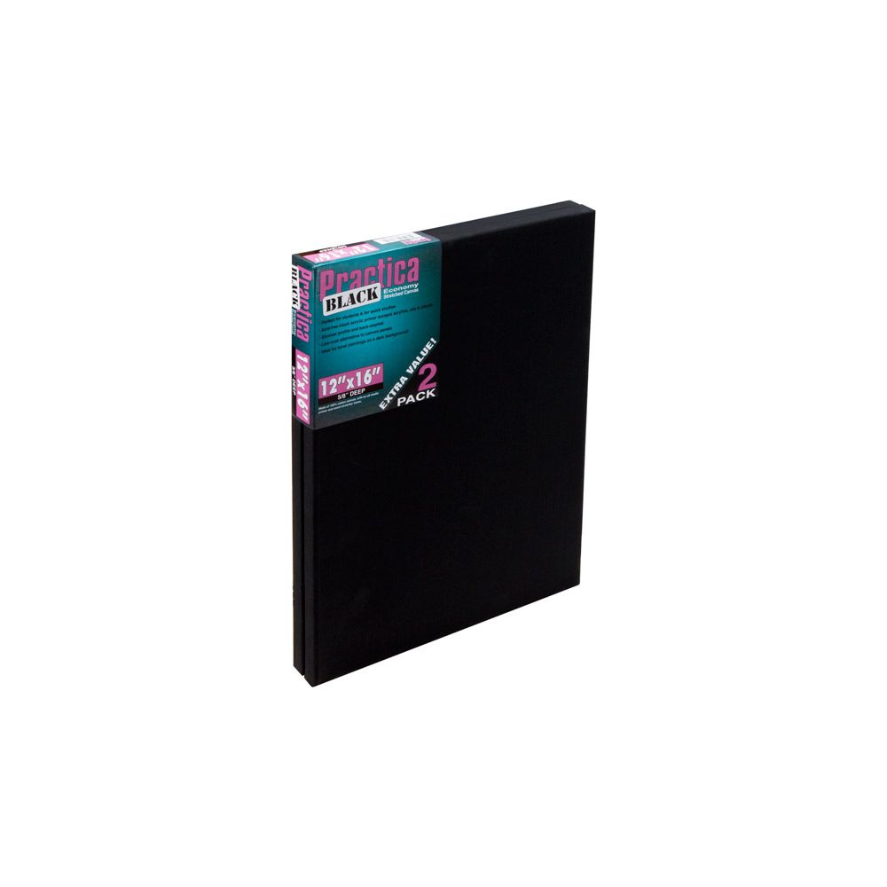 Practica Black 12x16" Stretched Canvas 2 Pack