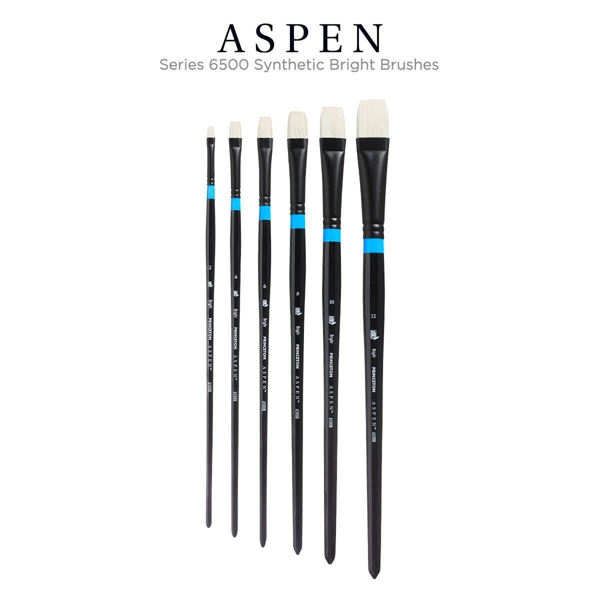 Aspen Series 6500 Synthetic Bright Brushes