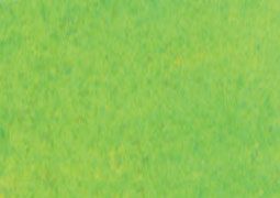 Art Spectrum Soft Pastel Individual Standard - Yellow Green (V)