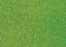 Art Spectrum Soft Pastel Individual Jumbo - Grass Green (N)