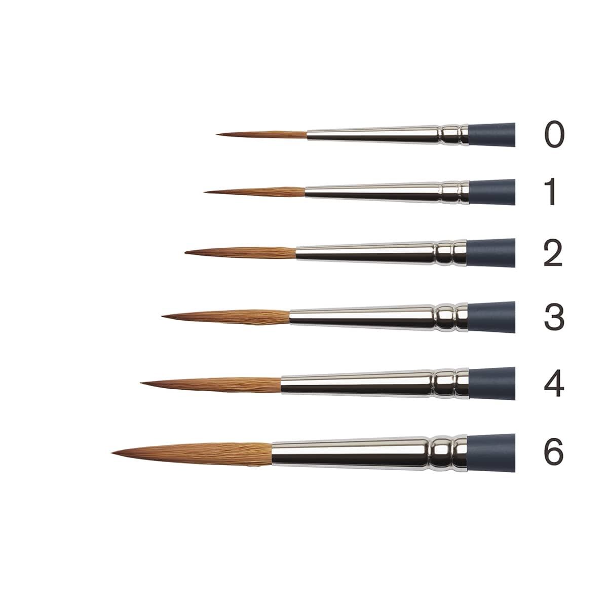 Rigger group: Winsor & Newton Professional Watercolor Synthetic Brushes