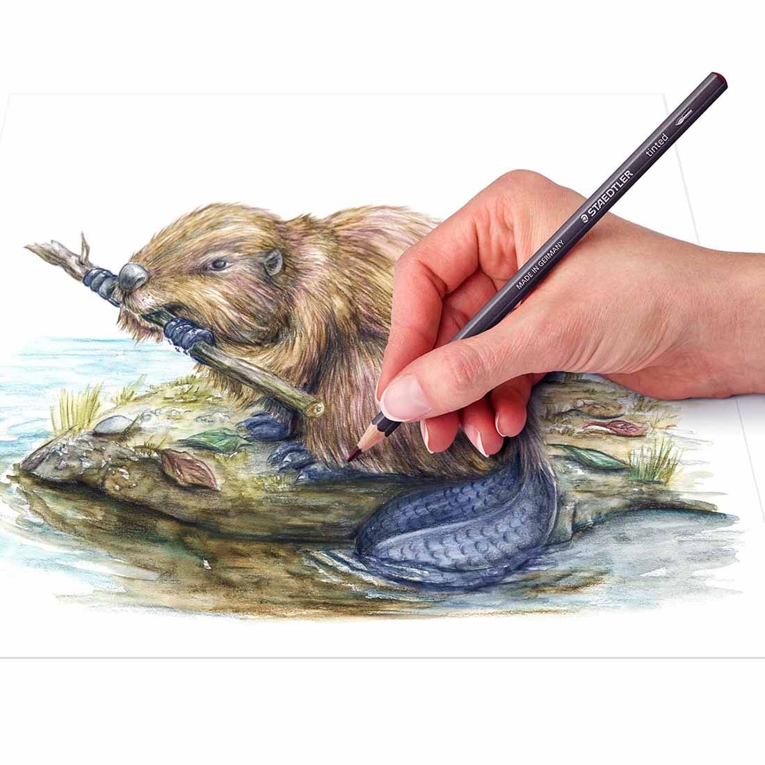 STAEDTLER Tinted Watercolor Pencil Tin Set of 12 Assorted Colours