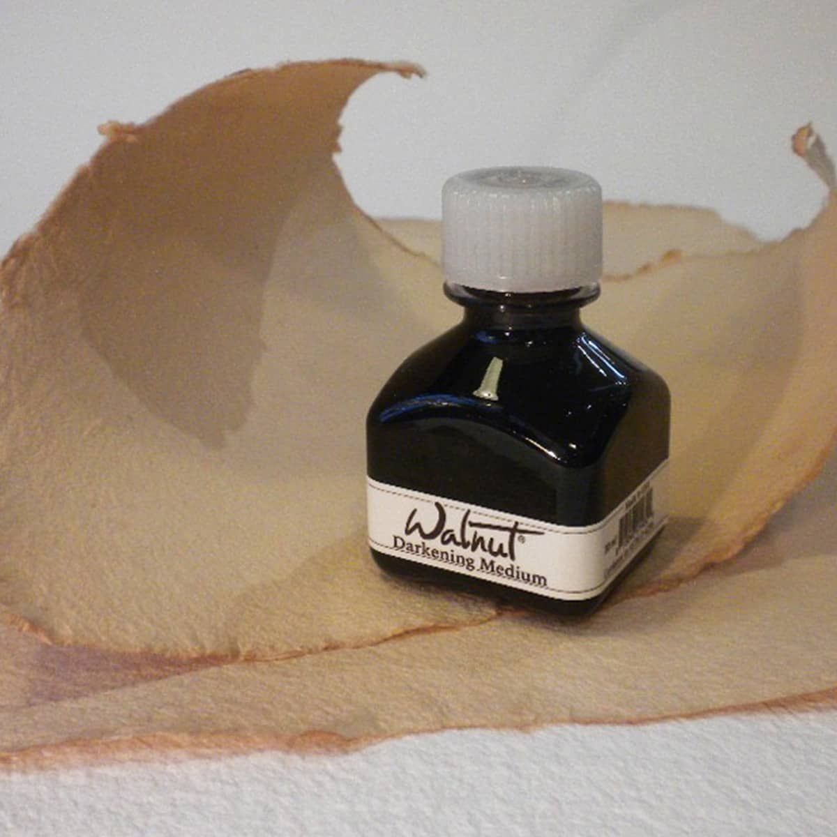 Add an extra "punch" to your Walnut Ink drawings!