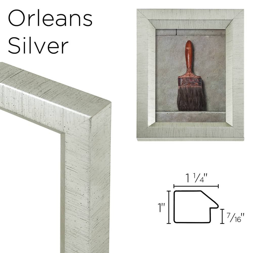 Orleans Silver Frame