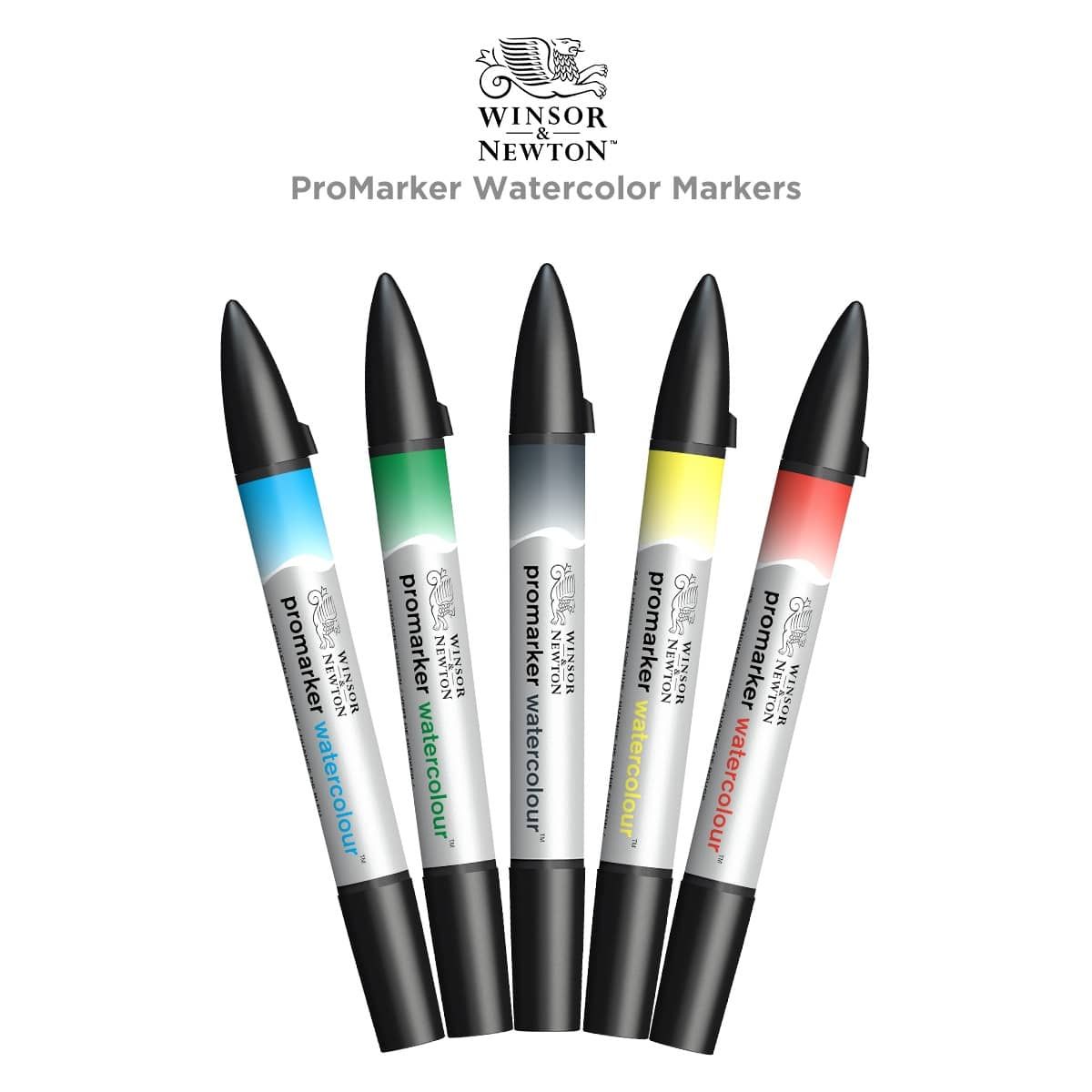 Winsor & Newton ProMarker Watercolor Marker's are highly pigmented
