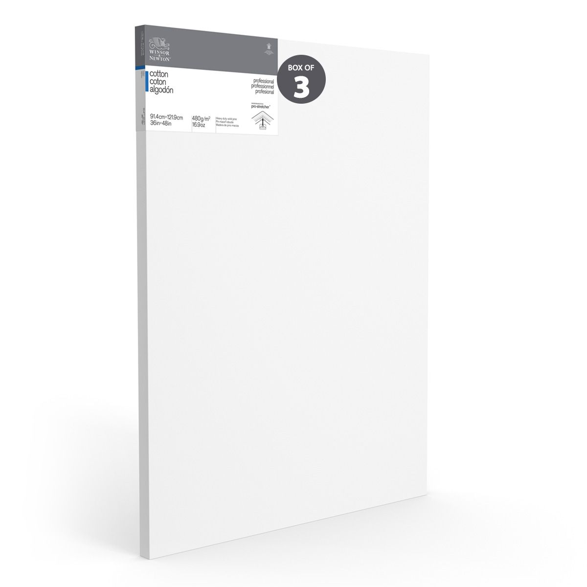 Winsor & Newton Professional Canvas Gallery Deep (1.65") Stretched