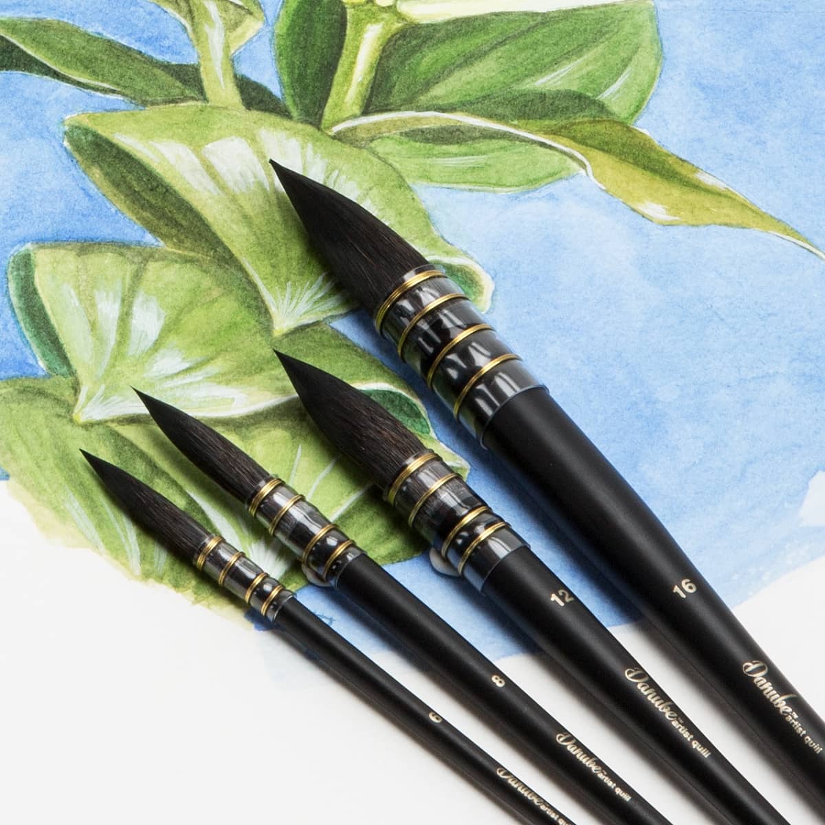 Danube Professional Watercolor Quill Brushes