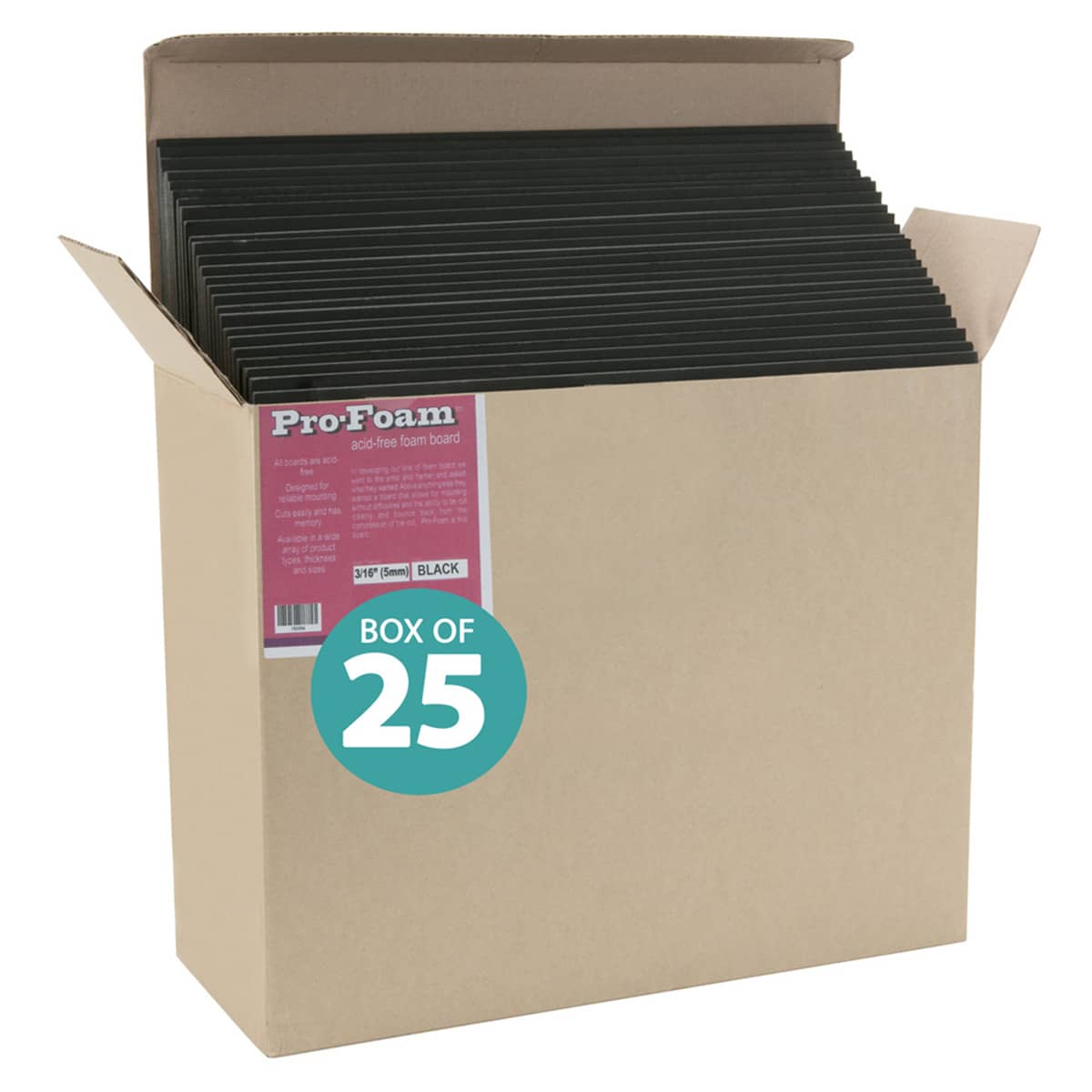 Viewpoint Acid-Free Black Foam Backing 16x20, 1/8 Thick 5 Pack