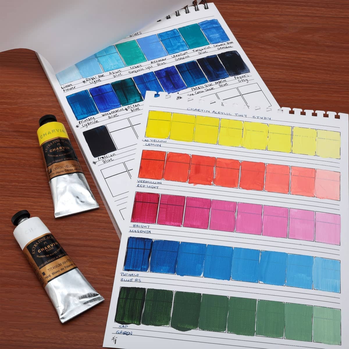 Featured Video - Painter's Color Diary Oil & Acrylic