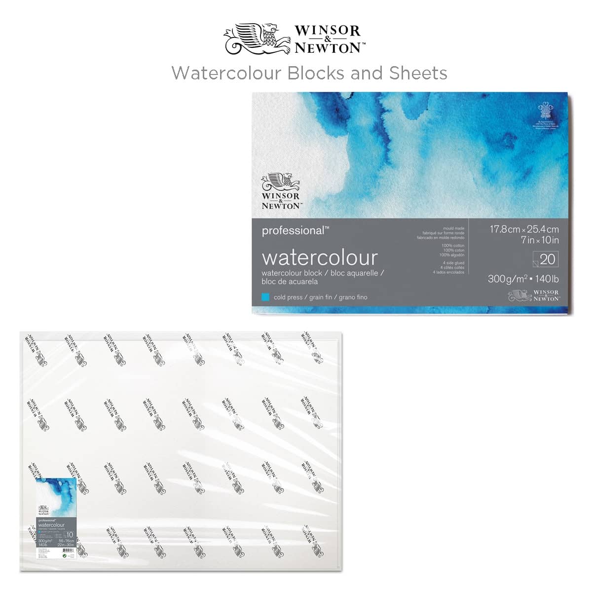 Winsor & Newton Professional Watercolour Blocks And Sheets