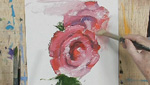 How To Paint A Rose Using Water Soluble Oils