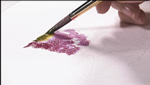 How To Mix Watercolor Paints on Paper