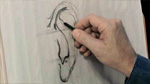 Simplifying the Ears in Charcoal Drawing