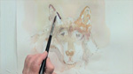 Painting a Wolf in Watercolors