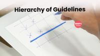 Hierarchy Of Guidelines