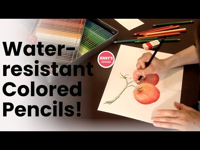 Professional water-resistant colored pencils!