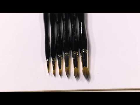 New York Central Steinberg Superior Kolinsky Watercolor Brushes 24kt gold plated ferrules