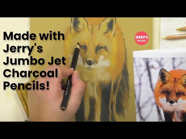 Charcoal Pencil Fox Drawing from Start to Finish