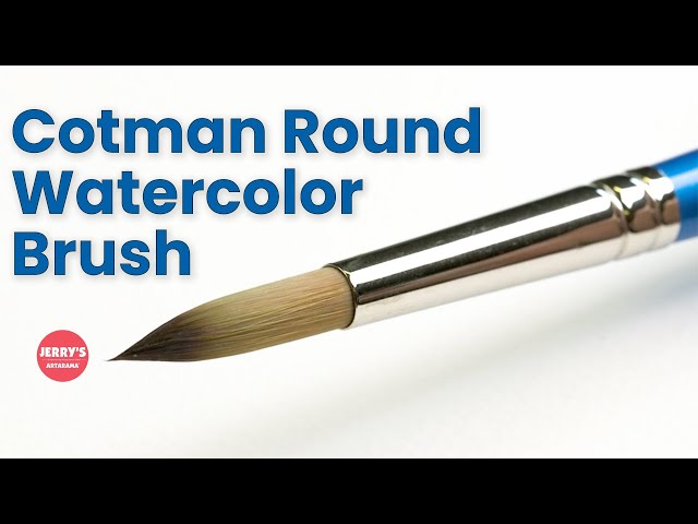 See the beauty of a Cotman Round Series 111 Brush!