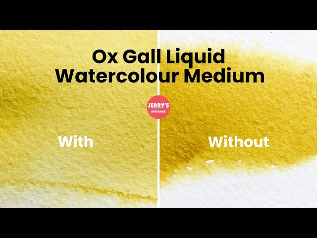 Ox Gall Liquid Watercolour Medium by Winsor & Newton