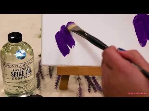 Chelsea Classical Studio Lavender Spike Oil Essence Medium - Product Demo