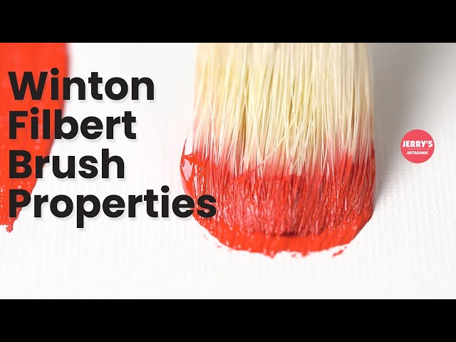 See Winton's Filbert Hog Brush Properties