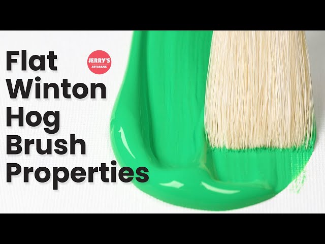 See Winton Flat Hog Brush Properties