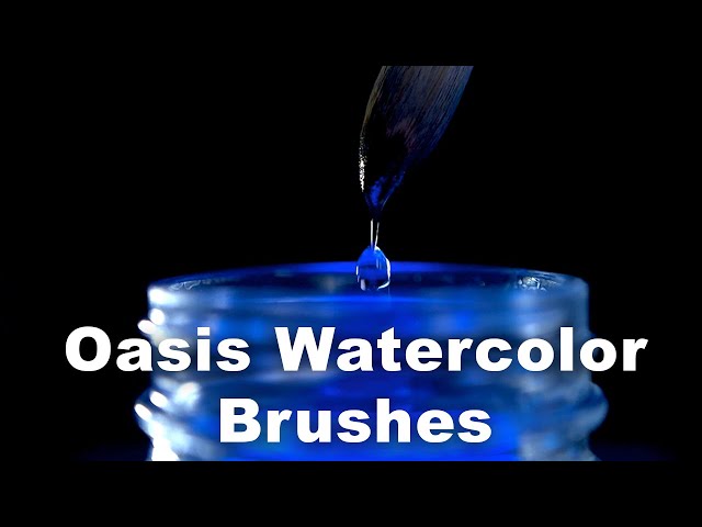 Oasis - A Brush Unlike Anything You've Seen Before!