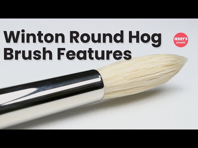 See Winton Round Hog Brush Properties