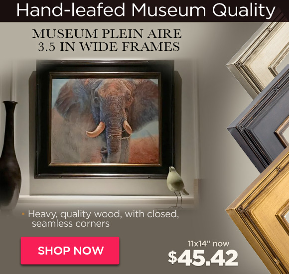 Museum Collection Plein Aire 3.5 In Wide Frames