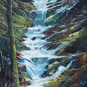 1st Place: 'Uvas Canyon Waterfall' by Sandy Birkholzof State College, PA