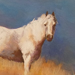 'Wyoming Enchanted' by Debbie Anderson