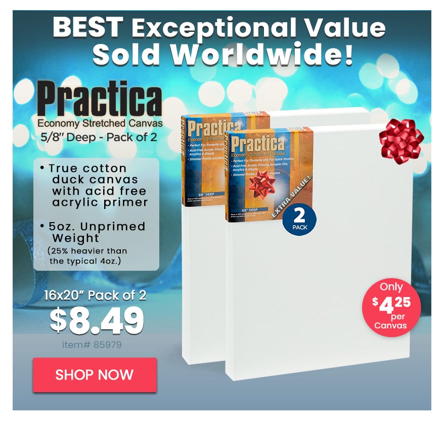 Practica Stretched Cotton Canvas 16x20 Super Value 2-Pack