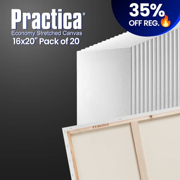 Practica Stretched Cotton Canvas 16x20in (Pack of 20)
