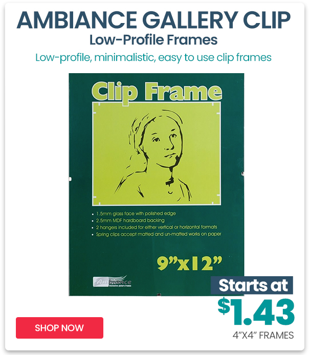 Shop Ambiance Gallery Clip Frames