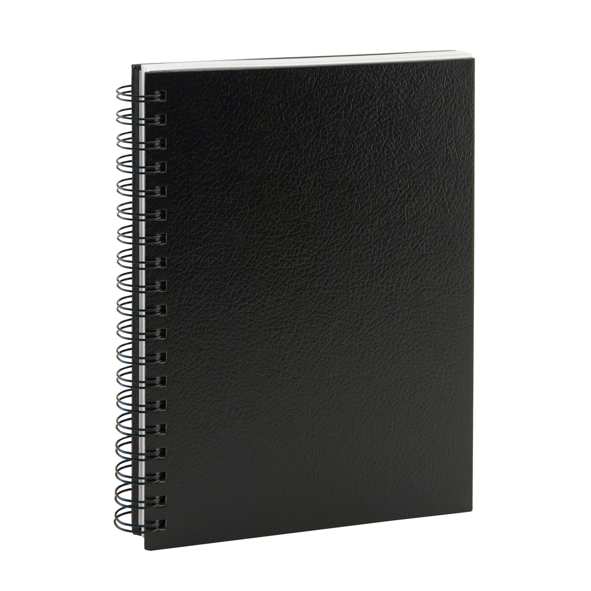 Cachet Classic Sketchbook<br>Wire Bound 14x17”