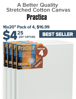 16x20in Stretched Canvas only $4.25 each, Super Value Pack of 4