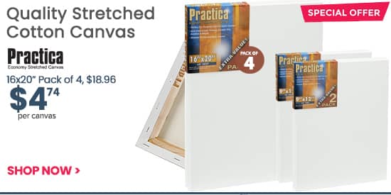 16x20in Super Value Stretched Canvas only $4.47 each