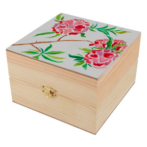 keepsafe box kit