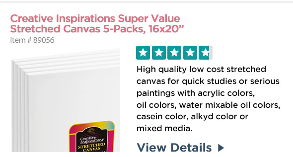 Super-Value, 5 Pack 16x20, Creative Inspirations Canvas