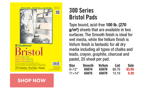 300 Series Bristol Pads