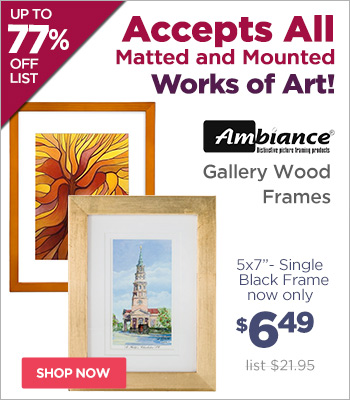 Ambiance Gallery Wood Frames