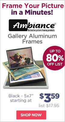 Ambiance Gallery Aluminum Frames