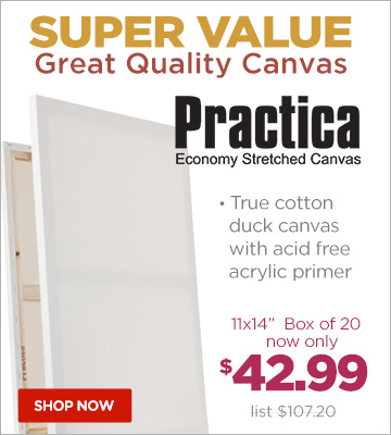 Practica Economy Stretched Cotton Canvas