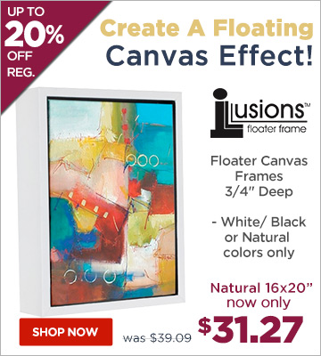 Illusions Floater Canvas Frames 3/4 Deep