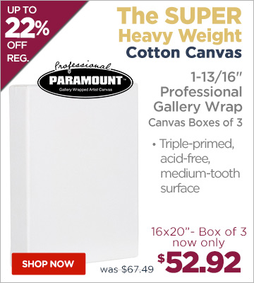 Paramount Professional Gallery Wrap Canvas Boxes of 3