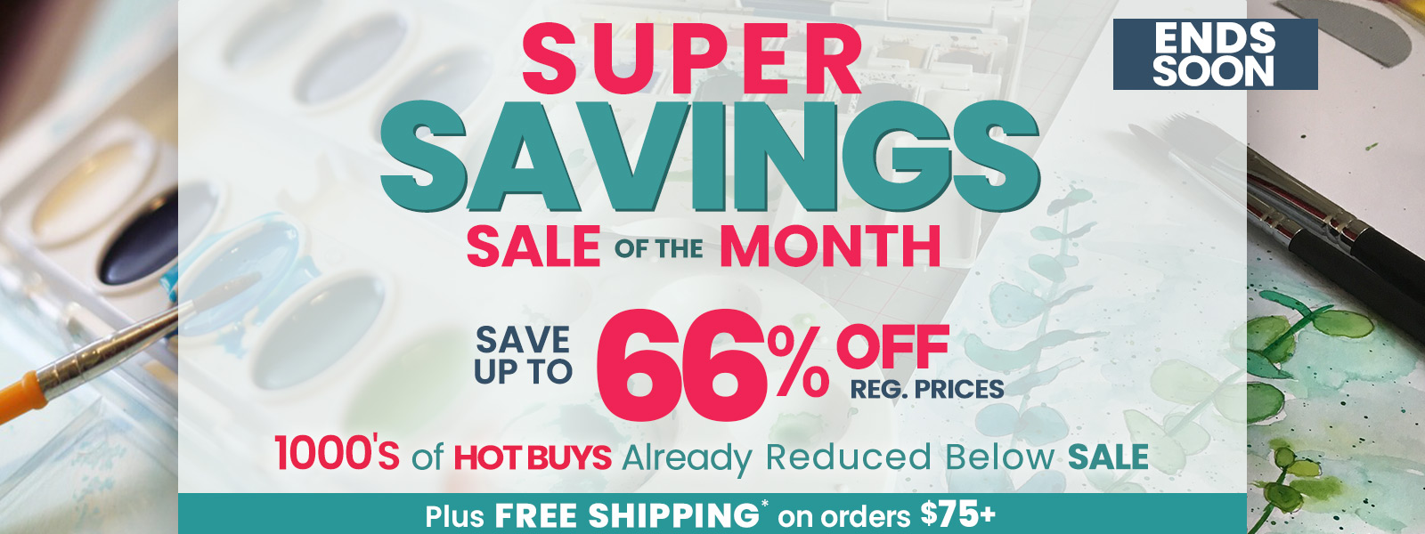 Super Savings Sale of the Month Plus Free Shipping