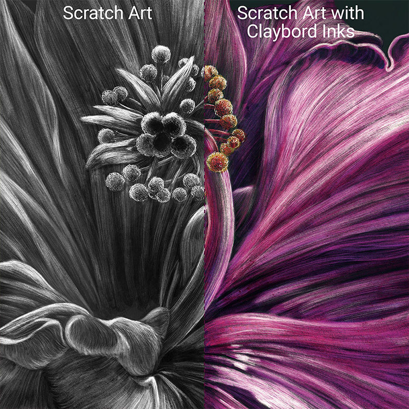 Museum Series Scratchbord comparison