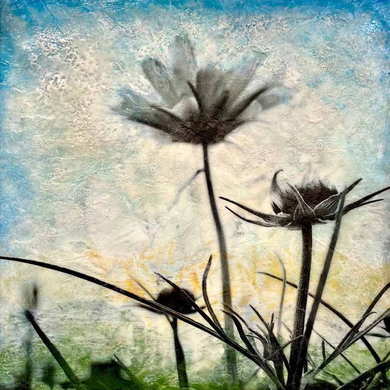 Artwork by Jodi Reeb on Birch Wood Panel